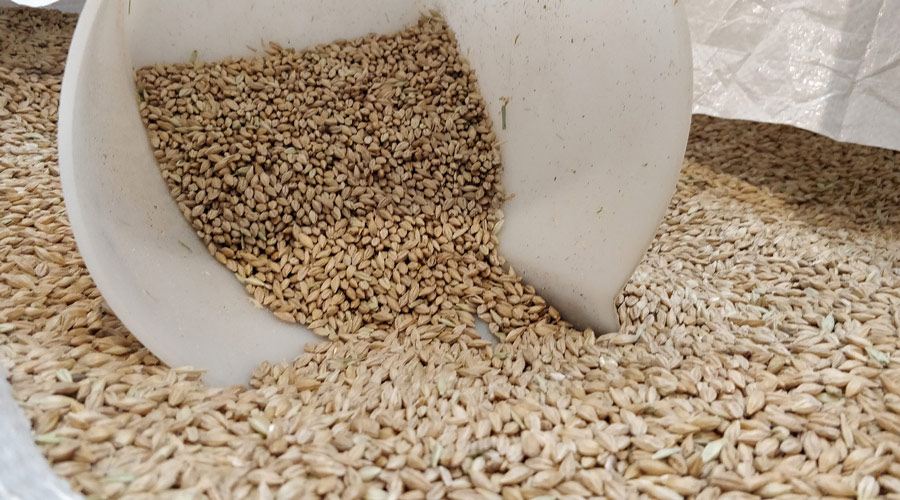 Single Malt Whisky: Fabricación y maduración